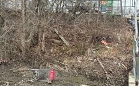 Earth Day Park Cleanup - Annual "Clean Toronto Together" event with Fellowship Christian Reformed Church