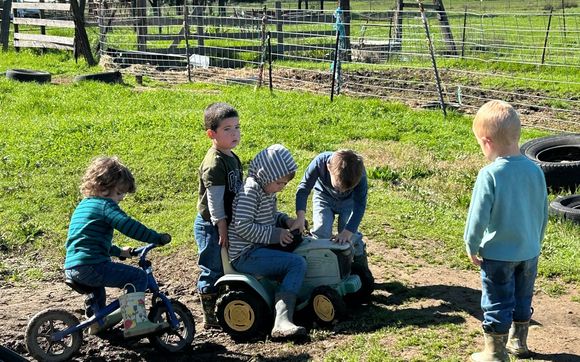 Offering ourdoor Preschool, Pre-k and Kindergarten  Readiness with Debbie Felt's Preschool