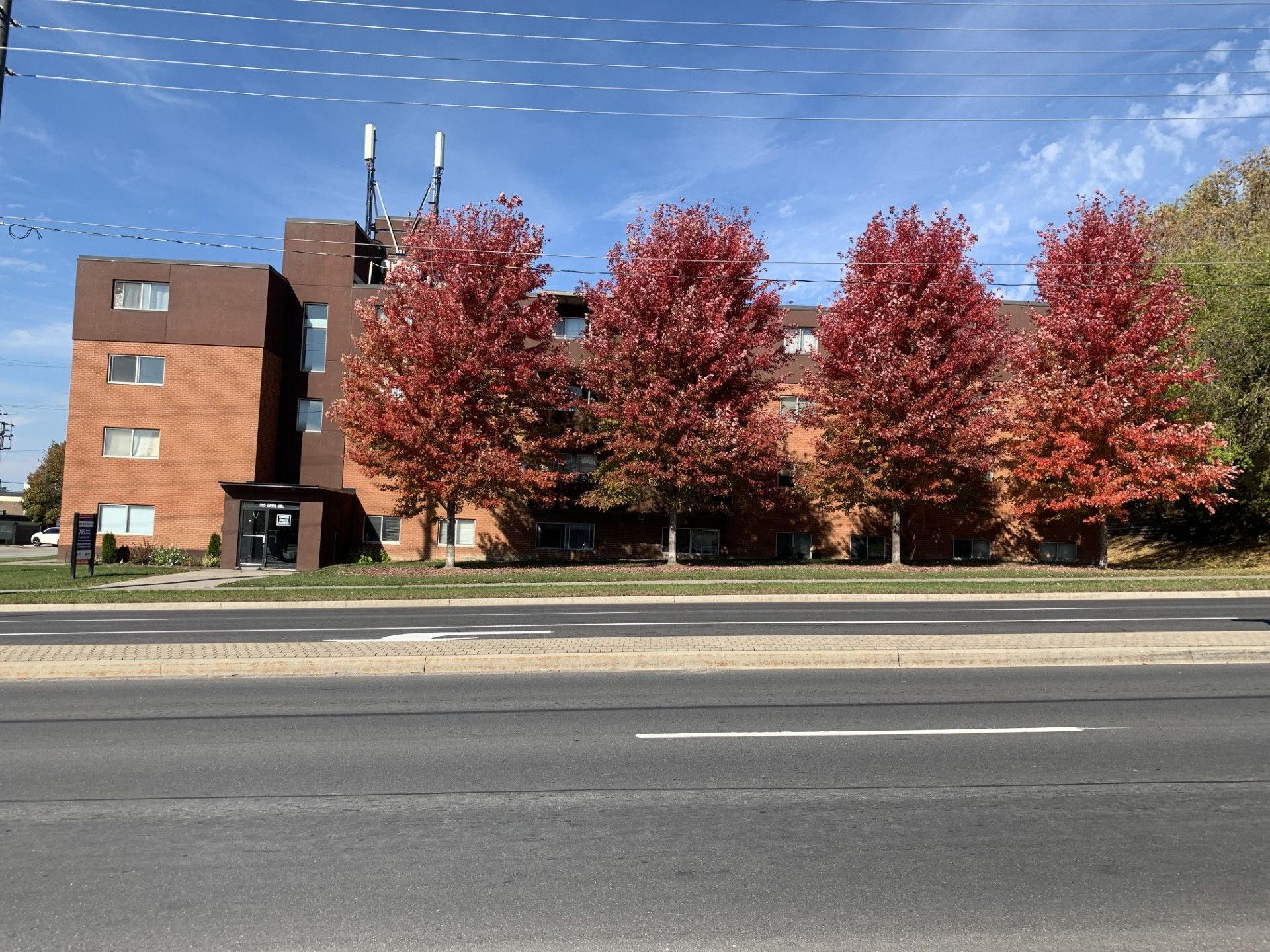 1 month free rent with 795 davis dr 