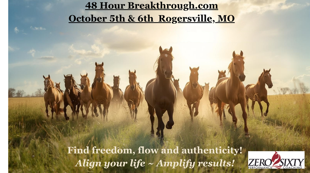 48 Hour Breakthrough For Leaders & Business Owners with Zero2Sixty Performance Coaching