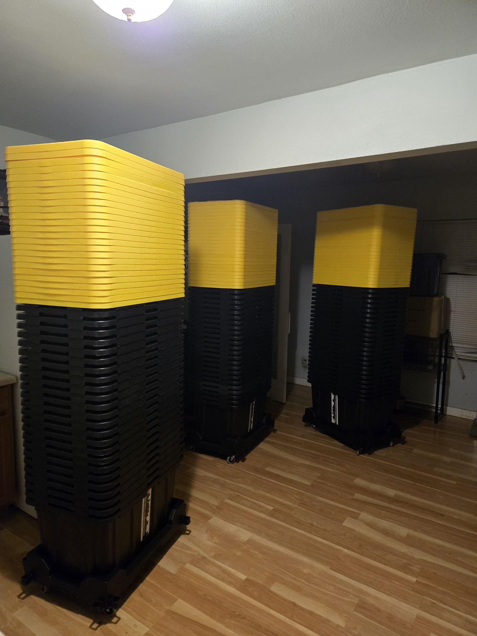 Moving Tote Rentals Special (plastic moving boxes) - FREE Delivery! with Portland Movers Ready