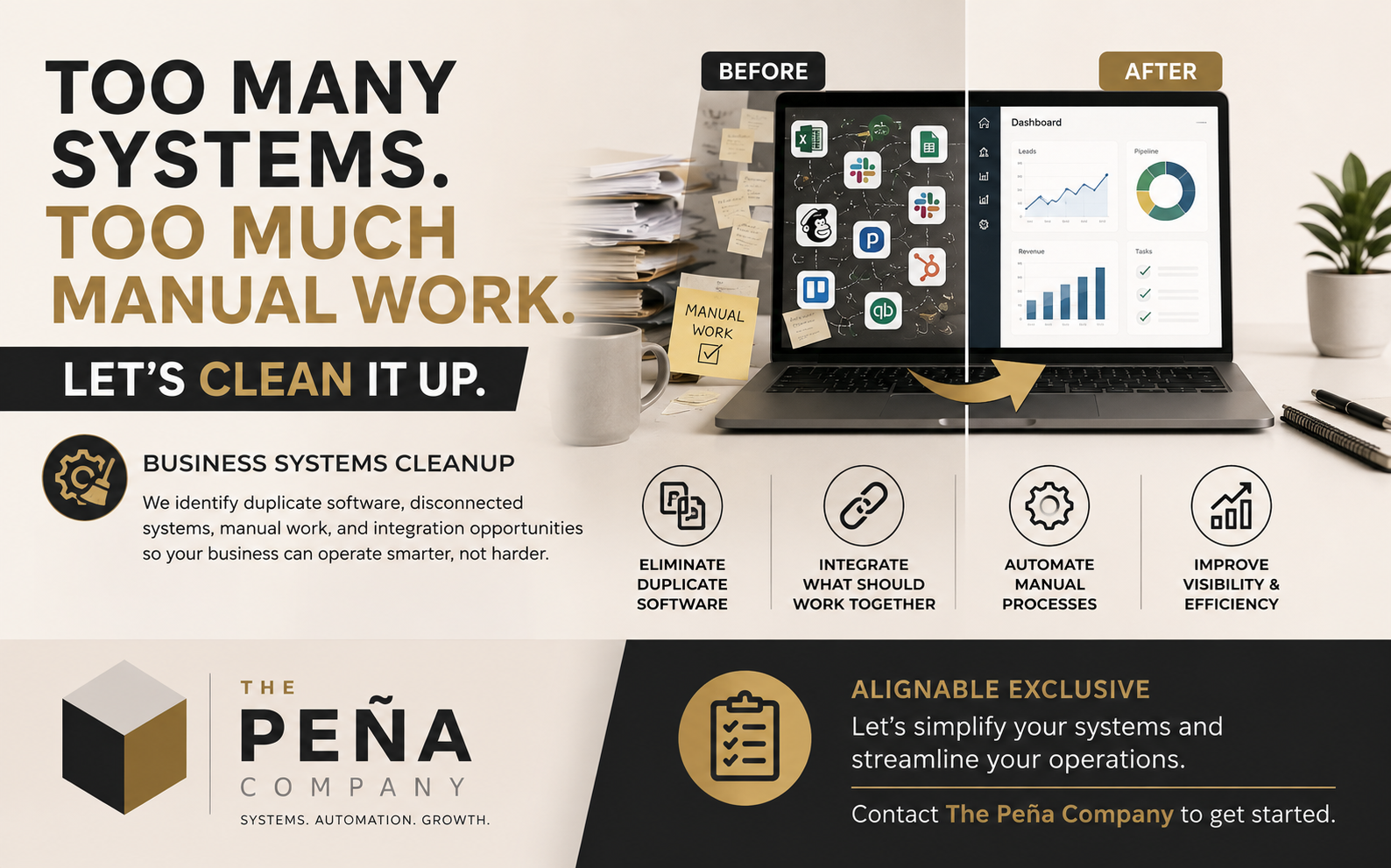 Business Systems Cleanup: Simplify Your Operations with The Peña Company