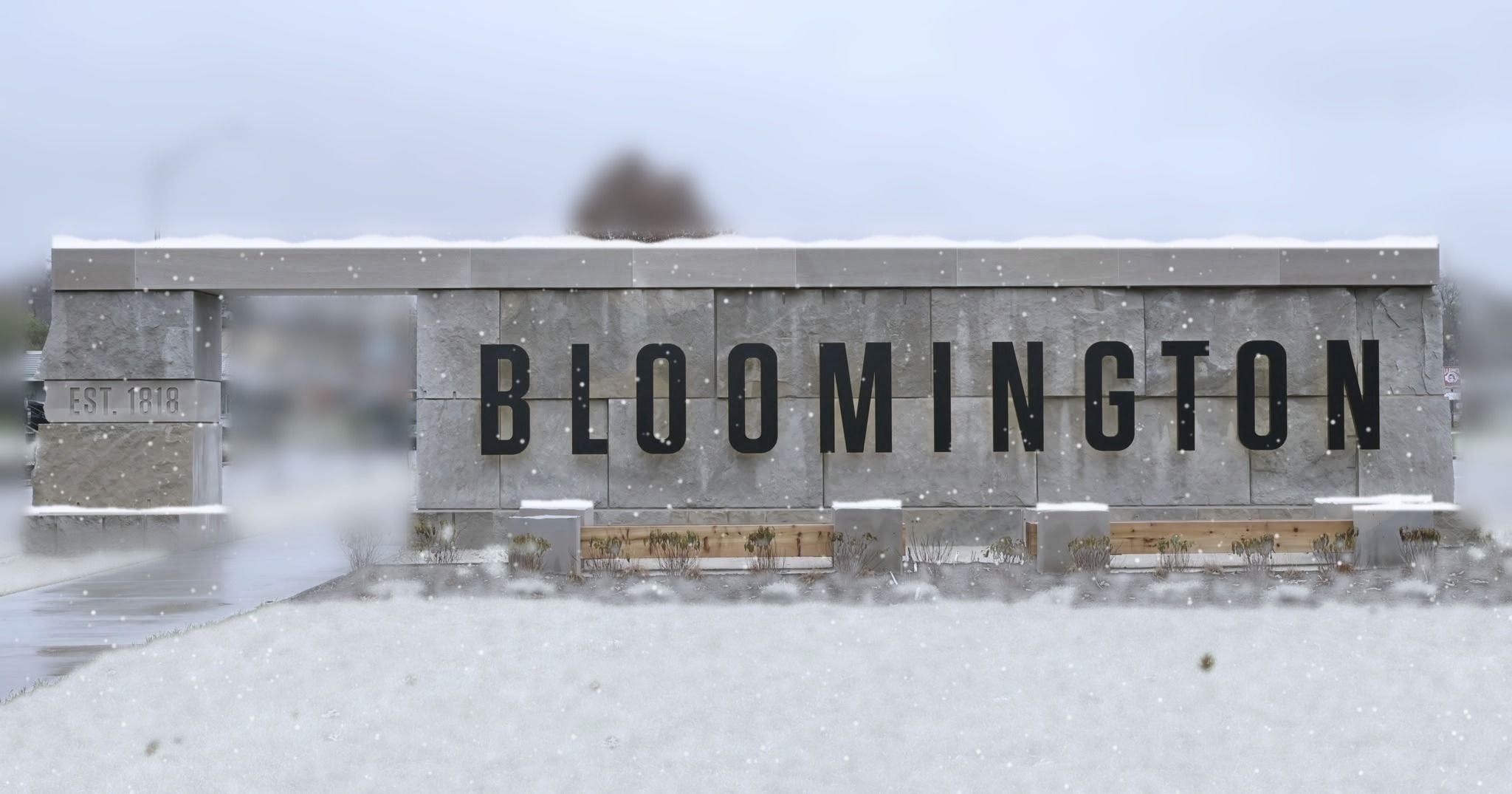 Alliance kickoff & Winter Meet & Greet with Amplify Bloomington
