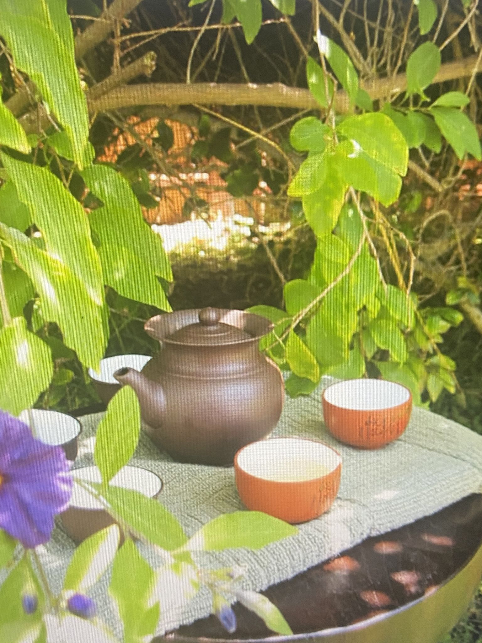 A Chinese Tea Ceremony with a Metaphorical Twist with Frank Carucci Traditional Reiki Master-Teacher