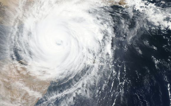 Disaster Assistance Network Group