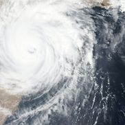 Disaster Assistance Network Group