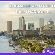 Alignable Alliance of Palm Harbor FL Group