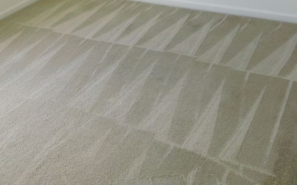 Professional Carpet & Upholstery Cleaning by Double N Services