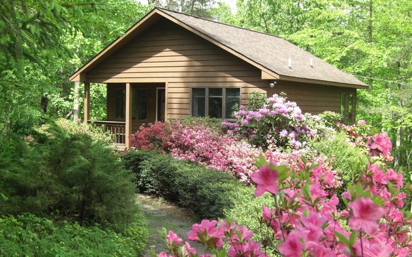 Creek House Cabin By Cottages At Chesley Creek Farm In Dyke Area