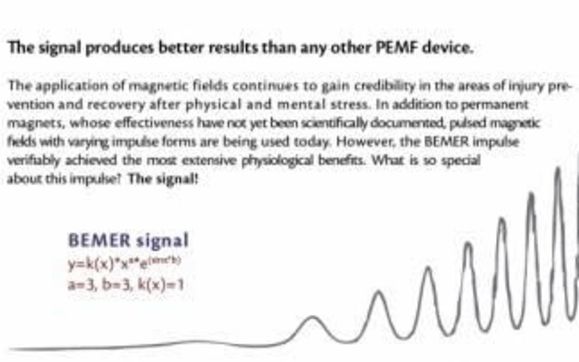 Bemer Group By Bemer Group In Winter Park Fl Alignable