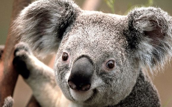 Matters of the heart, thru Consulting!!! by Devine Global Solutions