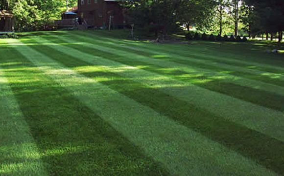 Grasper Lawn Landscape Joliet, Touchdown Landscaping Joliet Il