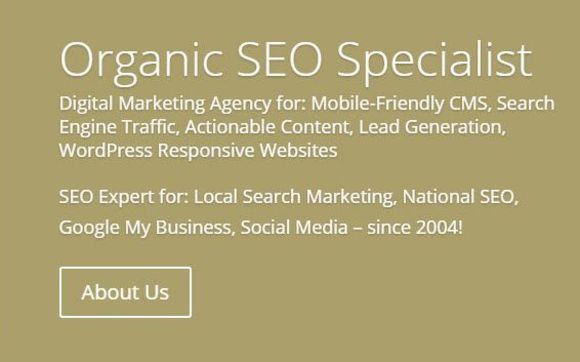 WordPress Responsive Website Design by Colorado SEO Expert Marketing