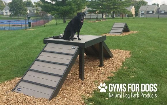 Gyms For Dogs Bridge Climb by Biz card in Houston, TX - Alignable