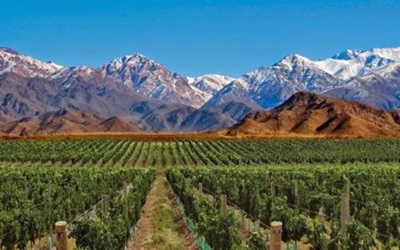 journey-to-the-andean-wine-regions-of-chile-and-argentina-by-gallivanting-gourmets-in-san