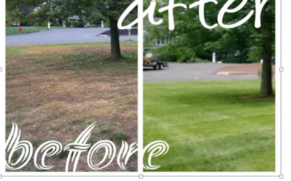 Lawn Installs by Elite-Landscape
