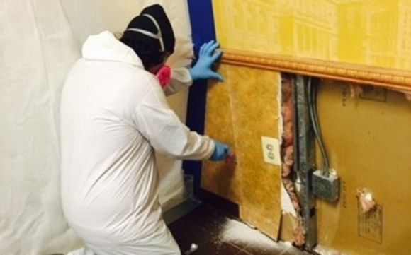Mold Abatement by URI Unlimited Restoration