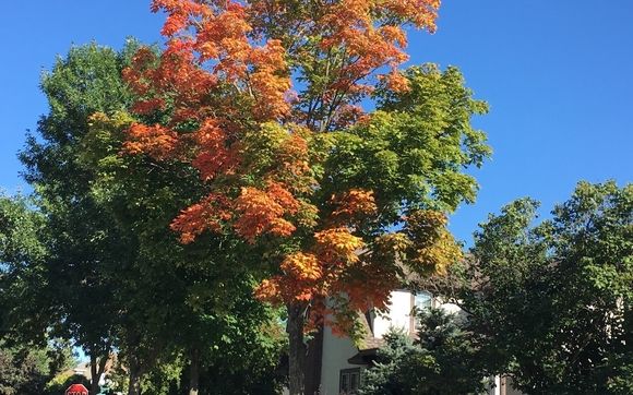 Culbert Realty, Inc  by Culbert Realty