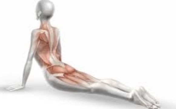 Myofascial Release John F Barnes Approach By Karen Wilder Fitness