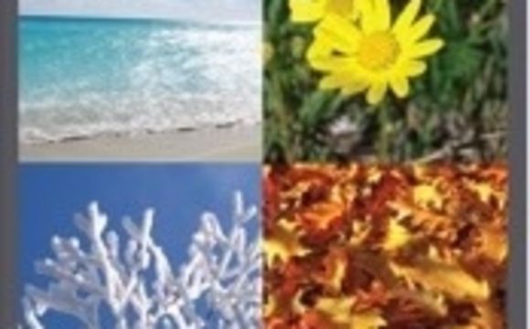 Market Analysis  by My Seasons Realty LLC