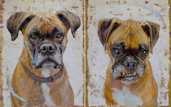 Pet Portraits by West End Gallery