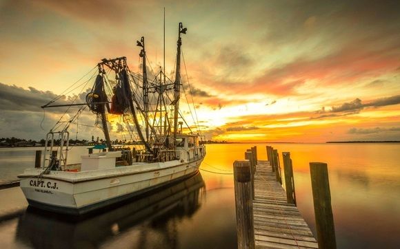 Naturescapes/Advertising Images of SW Florida by Gingerich PhotoArt