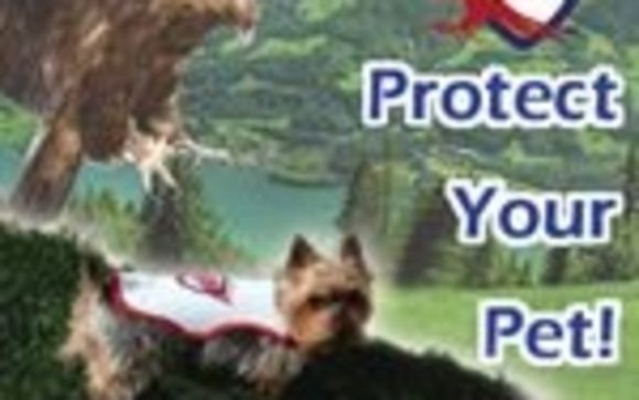 Raptorshield.com by Raptor Shield