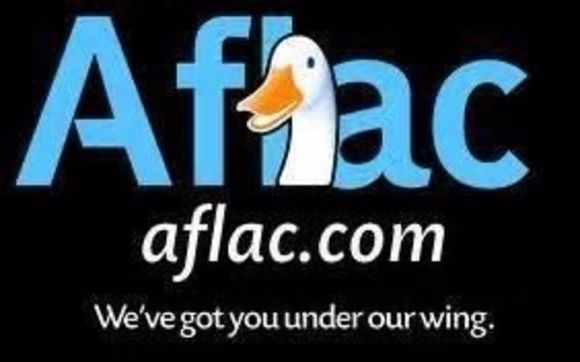 supplemental insurance by Aflac
