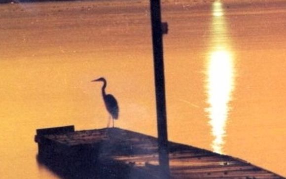 Top Realtor by Coldwell Banker Schmidt Realty