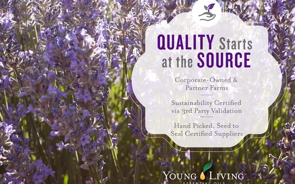 Young Living Essential Oils by the informed oiler