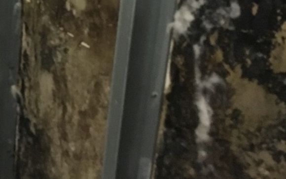 Mold Remediation and Assessment  by SERVPRO Of West Pensacola