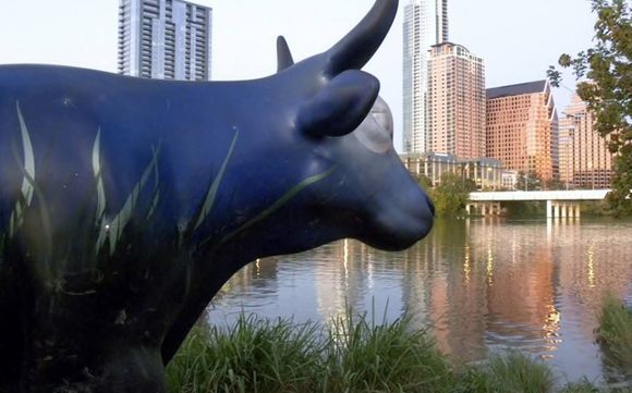 Get Paid for your Opinions by Lone Star Market Research LLC