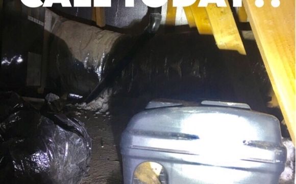 Mice and rodent cleanup and trap out.  by Maxx Force Pest Control