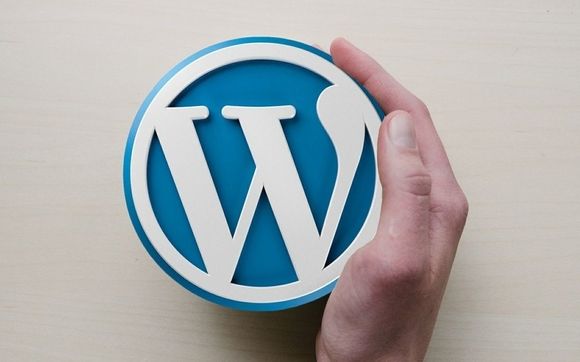 Wordpress Website Design by Mike Ruiz Digital Marketer