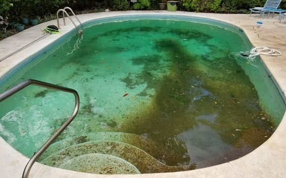 Green to clean  by Thompson bro's pool company Inc