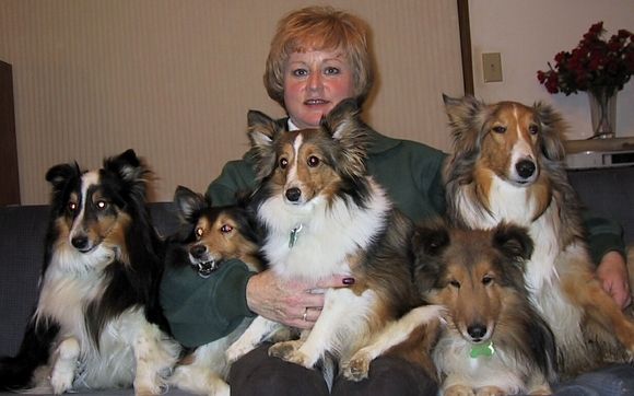 Dog Boarding By Sharon S Tlc Pet Cottage Llc In Hilliard Oh