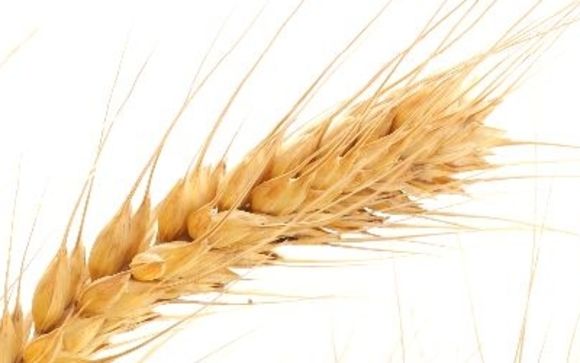 Professional Organizing Service by Winnow & Spruce Organizing