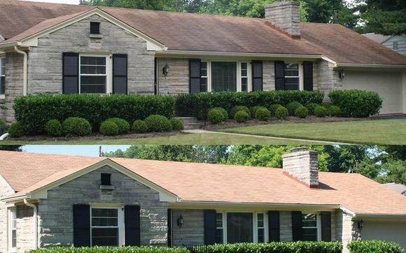 Soft Wash Roof Cleaning by SplashWash LLC