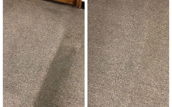 Carpet Cleaning by Scalzo Maintenance LLC
