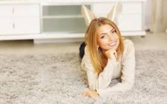 Home Maid Cleaning Service by McHenry Carpet Cleaning