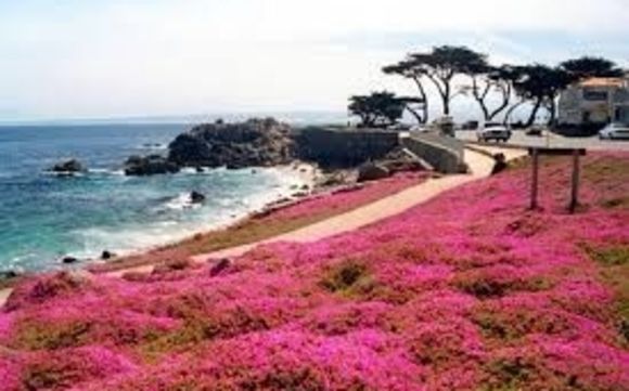 Innovation Conference Magnificent setting by American College of Healthcare Trustees