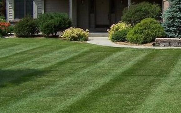 Weekly Lawn Care Service by Pacific Lawn Maintenance
