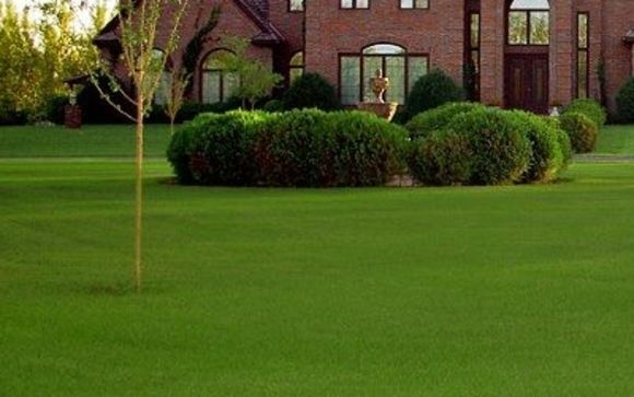 Lawn Treatments by Pacific Lawn Maintenance
