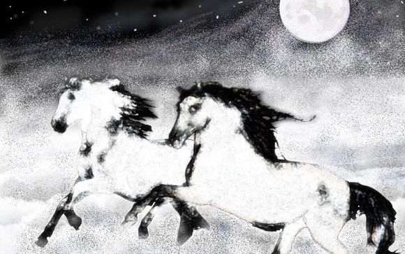 Match to the Heart by KL Productions