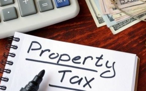 Property Tax Consulting by NETTLES & CO.