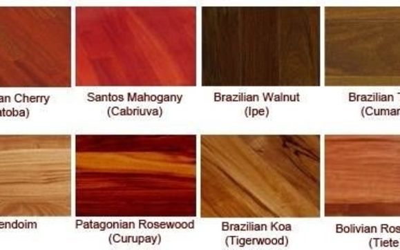 Top 5 Species From Brazil Brazilian Cherry Brazilian Teak