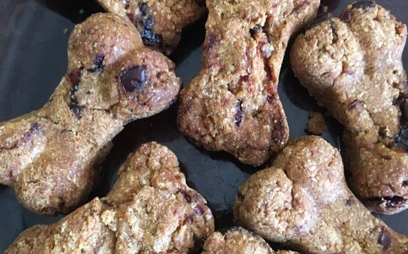 Cran-Honey Mini-Biscuits  by Tuckerluv Barkery