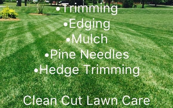 Clean cut lawn online service