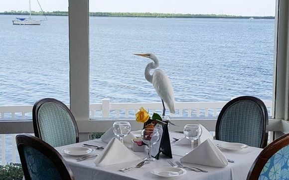 Bon Appetit Restaurant - Waterfront Restaurant & Outdoor Terrace by Bon Appetit Group