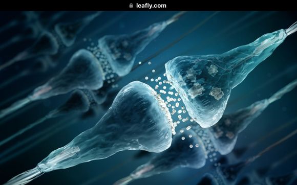 PrimeMyBody Hemp oil by CBD/Hemp Prime my Body